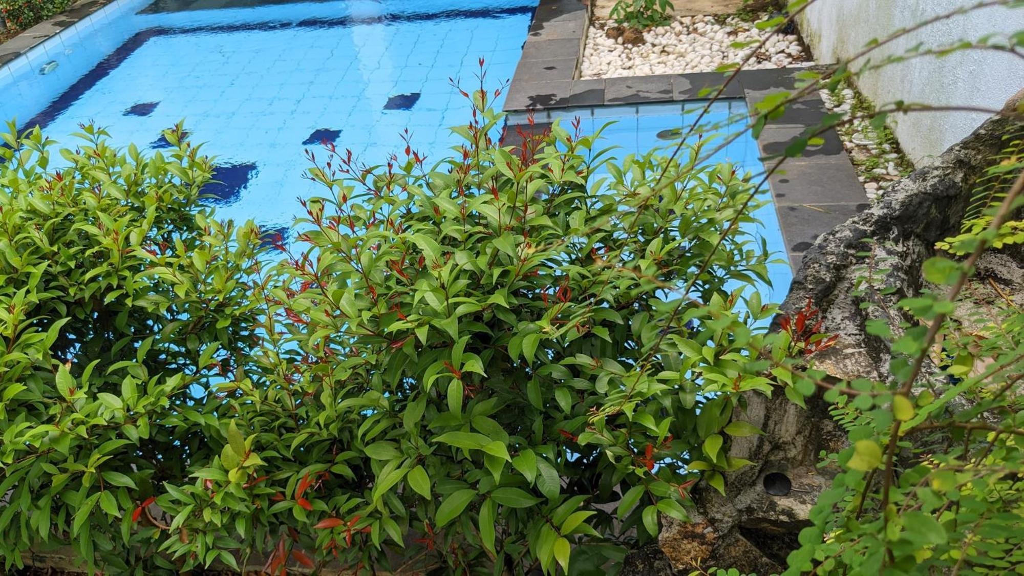 Appartement Sudu Son Retreat Tangalle